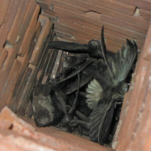 Chimney obstructions in Gettysburg, PA